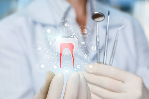 Professional  Holistic Dental Services in Safety Harbor, FL