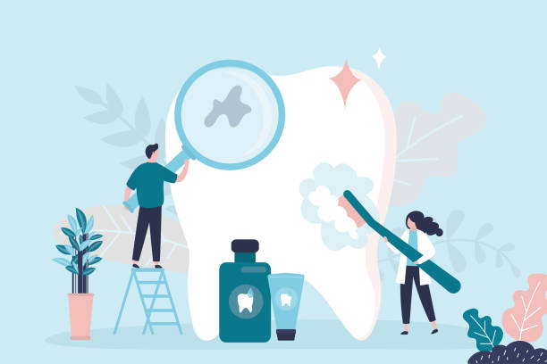 Best Root Canal Treatment  in Safety Harbor, FL